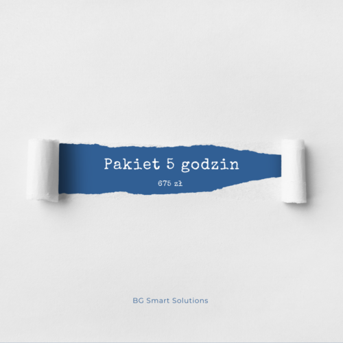 pakiet 5 godzin technicznych w wordpressie